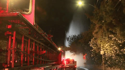 Ocurrió en Laurel Canyon Boulevard cerca de Dona Pegita Drive.