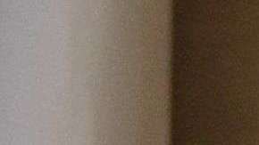 La primera dama Melania Trump y los presidentes Donald Trump y Vladimir Putin.