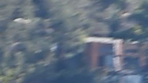 El asesino herido de bala en un brazo se entregó a la policía después de tres horas