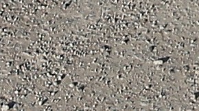 La Oficina de De Blasio niega esta acusación y asegura que tuvo la aprobación de las autoridades fronterizas