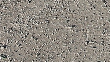 La Oficina de De Blasio niega esta acusación y asegura que tuvo la aprobación de las autoridades fronterizas