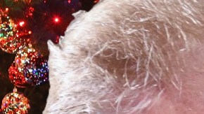 Melyda Corado era la gerente de la tienda deTrader Joe’s que perdió la vida en la toma de rehenes