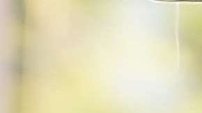 Eric Trump vive en Nueva York.