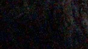 Los oficiales de CBP revisan en detalle a visitantes de EEUU.