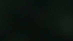 Melania Trump ha ganado más de $100,000 dólares por fotografías.