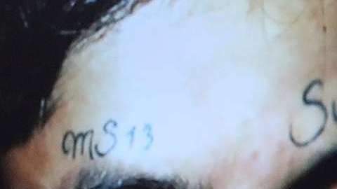 Autoridades federales y locales mantienen una cruzada contra la MS-13