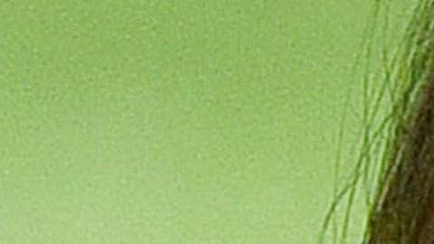 La primera dama Melania Trump.