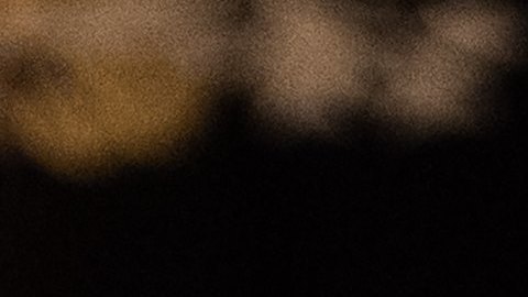 Por décadas los hermanos Koch han financiado las campañas de gran parte de los republicanos en EEUU