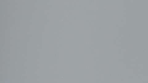 First Lady Melania Trump Speaks On The Launch Of Her Initiatives In The Rose Garden Of White House