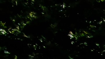 Miles piden que no se separe más a las familias de inmigrantes en EEUU.