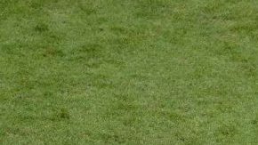 Benjamin Pavard