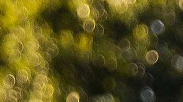 La primera dama Melania Trump y el presidente Trump al salir de la Casa Blanca.