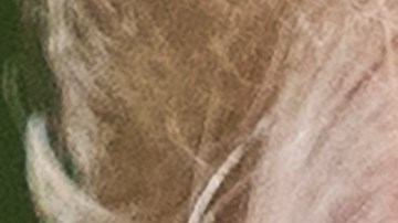 Trump adelanta una dura campaña de desprestigio contra la investigación de la "Trama Rusa"