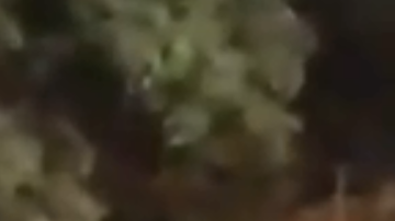 Unas 1,500 hubieron de evacuar el lugar.