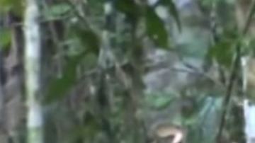 El último hombre de la tribu