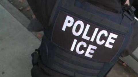 ICE afirma que 16 de los detenidos eran delincuentes previamente capturados.