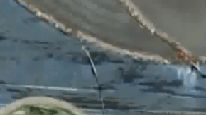 Los vándalos arrojaron ladrillos a través de las vidrieras.