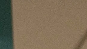 Diego Maradona arremetió contra un sobrino en un programada de televisión en vivo