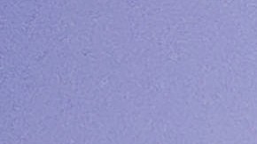 A Xolos Tijuana no le va bien en el arranque de los torneos del fútbol mexicano