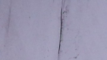 Ricardo Ferretti, técnico de Tigres, escucharía ofertas para dirigir al Tri sólo si lo corren