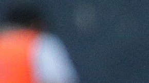 André Pierre Gignac no permitiría que sus hijos jueguen en Rayados de Monterrey