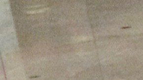 Decenas de niños y activistas pro-inmigrantes realizan protesta en el Senado para exigir pronta reunificación de todos los niños separados de sus padres en la frontera. Foto: María Peña/Impremedia