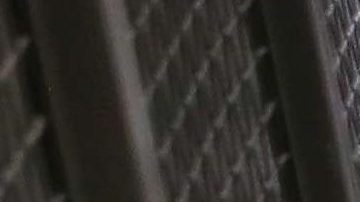 Desde 2010, siete inmigrantes detenidos han fallecido en  la cárcel de Adelanto.