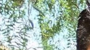 Jorge Ramírez no entiende por qué ha sido blanco de la política migratoria.