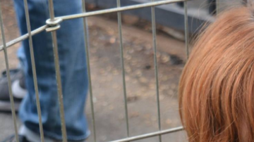 Al adoptar un animal se salvan dos vidas: la de dicho animal y la del que tendrá así un hueco en el refugio.