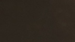 Adal Ramones será el presentador de "La Academia"