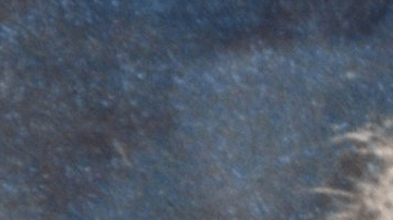 Linda Ann O'Keefe fue estrangulada a los 11 años.