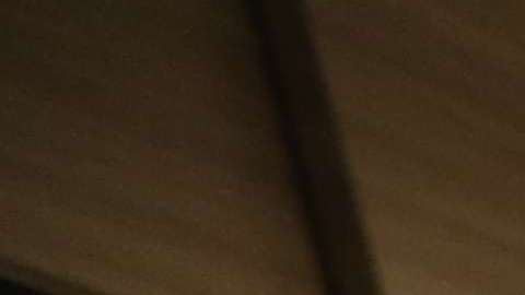 Negocios: Celest y su hija Jessica Quintana en su negocio, Mc Donald's en Jersey City.