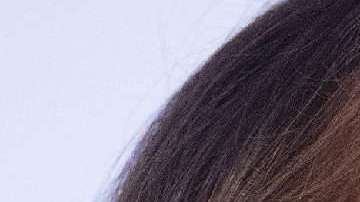 Melania Trump y Philip May no se conocen personalmente.