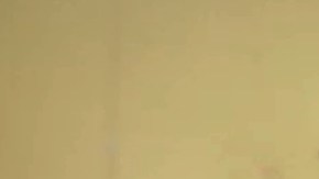 El virus se transmite a través de la picadura de un mosquito infectado.