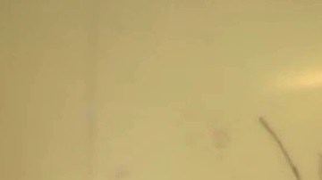 El virus se transmite a través de la picadura de un mosquito infectado.