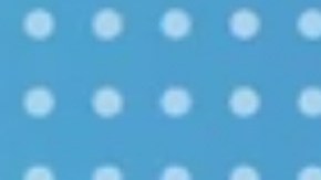 Emilio Osorio y Niurka Marcos