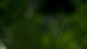 José Luis Higuera, director de Grupo Omnilife