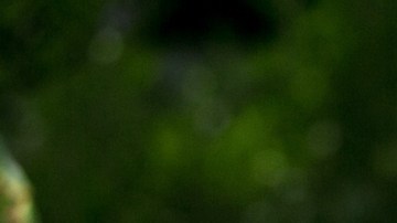 José Luis Higuera, director de Grupo Omnilife