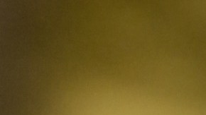 Elige lo mejor para tu auto.