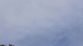 El área de Ontario fue sacudida de madrugada.