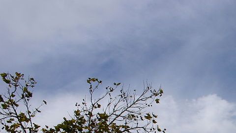 El área de Ontario fue sacudida de madrugada.