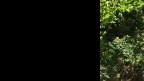 Oso dentro de jacuzzi