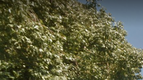 El incidente ocurrió en la cuadra 2200 de la calle Palomares.