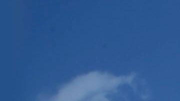 En lo que va del año, 5 niños han muerto en piscinas del condado de Orange.