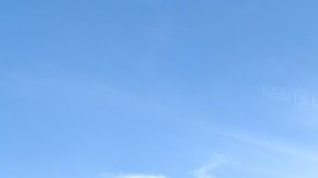 El incidente tuvo lugar en la cuadra 2500 de Gates Avenue.