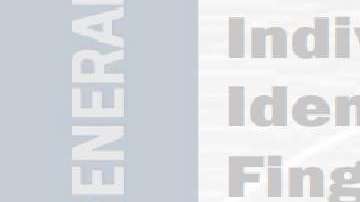 El reporte fue realizado en 2017.