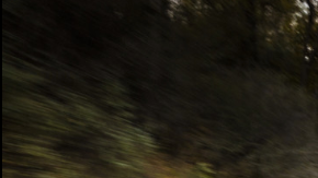 Oportunidades de temporada.