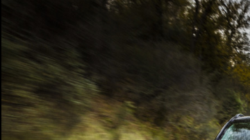 Oportunidades de temporada.