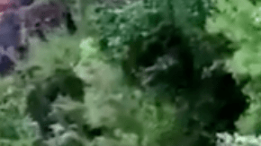 La lluvia hizo que aumentara el nivel del río arrastando todo a su paso.