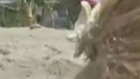 El gran sueño de esta niña era nadar entre sirenas.